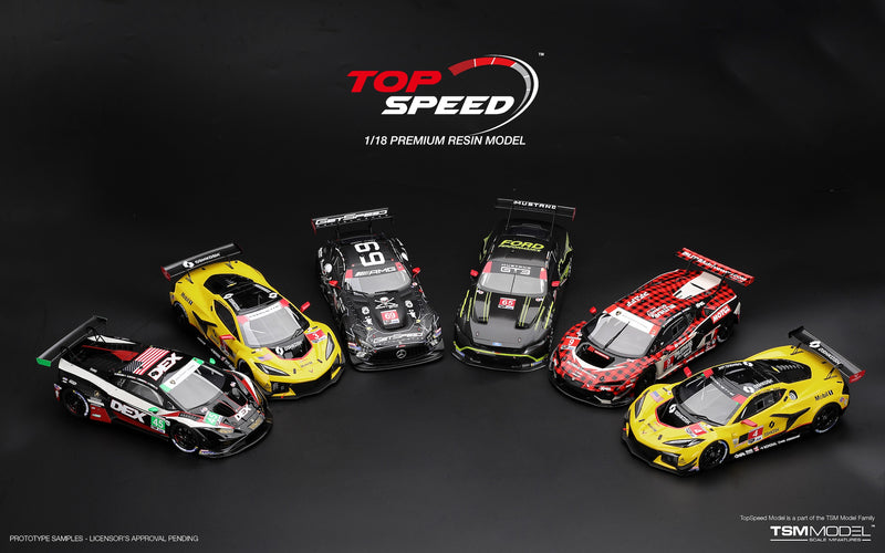 Chargez l'image dans la visionneuse de la galerie, LAMBORGHINI TEMERARIO GT3 #9 PFAFF MOTORSPORTS SEBRING 12 HRS 2026 TOP SPEED 1:18
